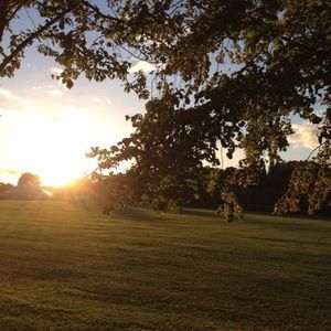 Meet your Posher, Joce